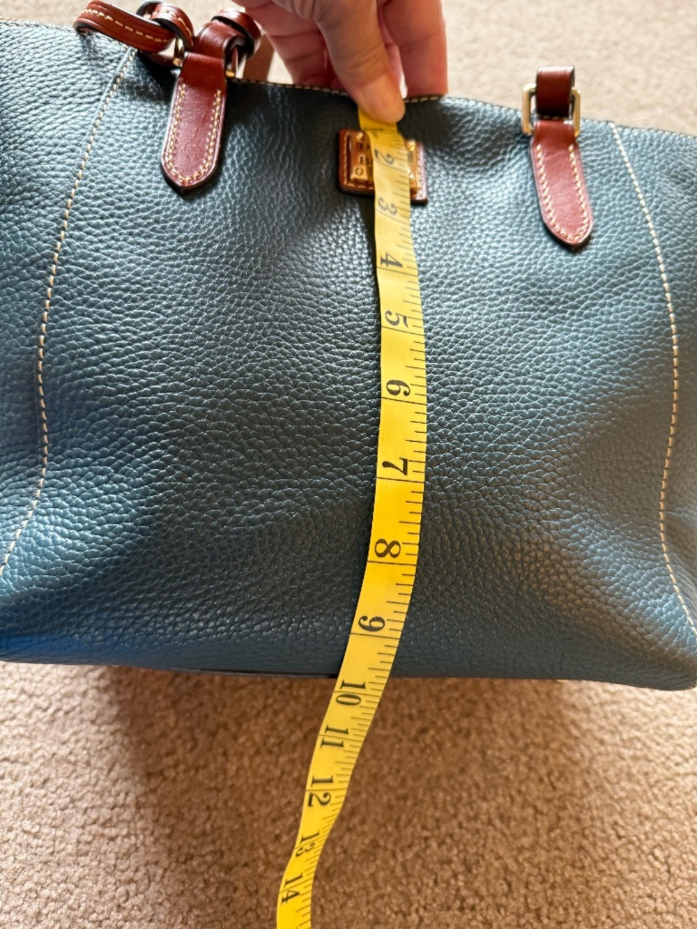 Dooney & Bourke Green/Blue Pebbled Leather Tote with Brown Trim - Picture 8 of 10